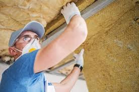 Best Attic Insulation Installation  in Palmview, TX